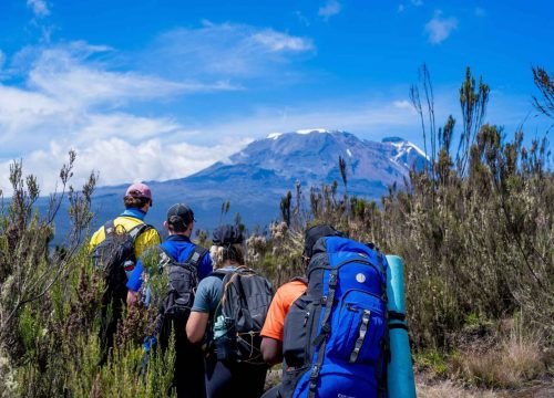 8 Days/ 7 Nights Kilimanjaro Lemosho Route Trekking