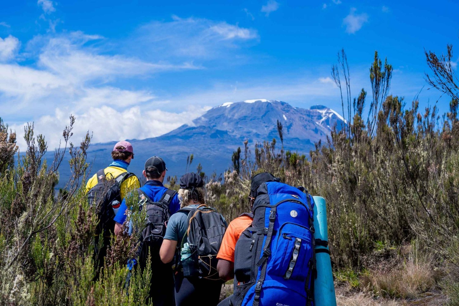 8 Days/ 7 Nights Kilimanjaro Lemosho Route Trekking