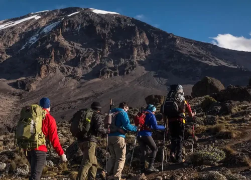 7 days Machame Route Kilimanjaro Trekking