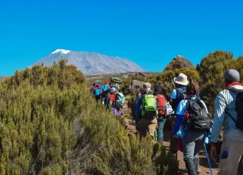What Are The Important Tips to Know Before Trekking Mount Kilimanjaro