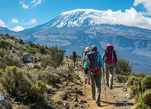 Which Kilimanjaro Route Is The Best